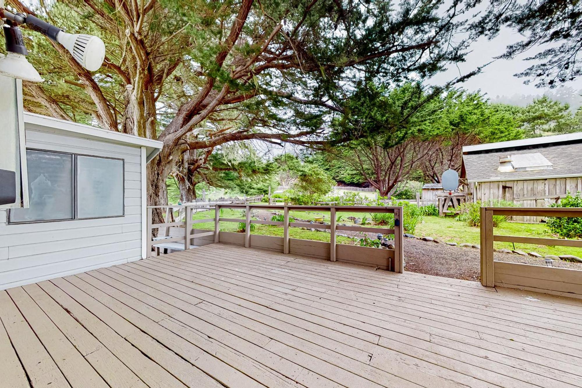 Saddle Point Ocean View Cottage Elk Extérieur photo